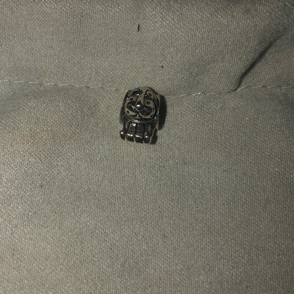 Pandora bead